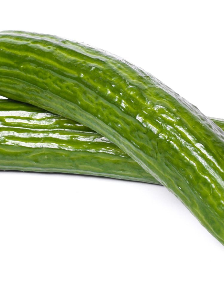 Green cucumber on a white background