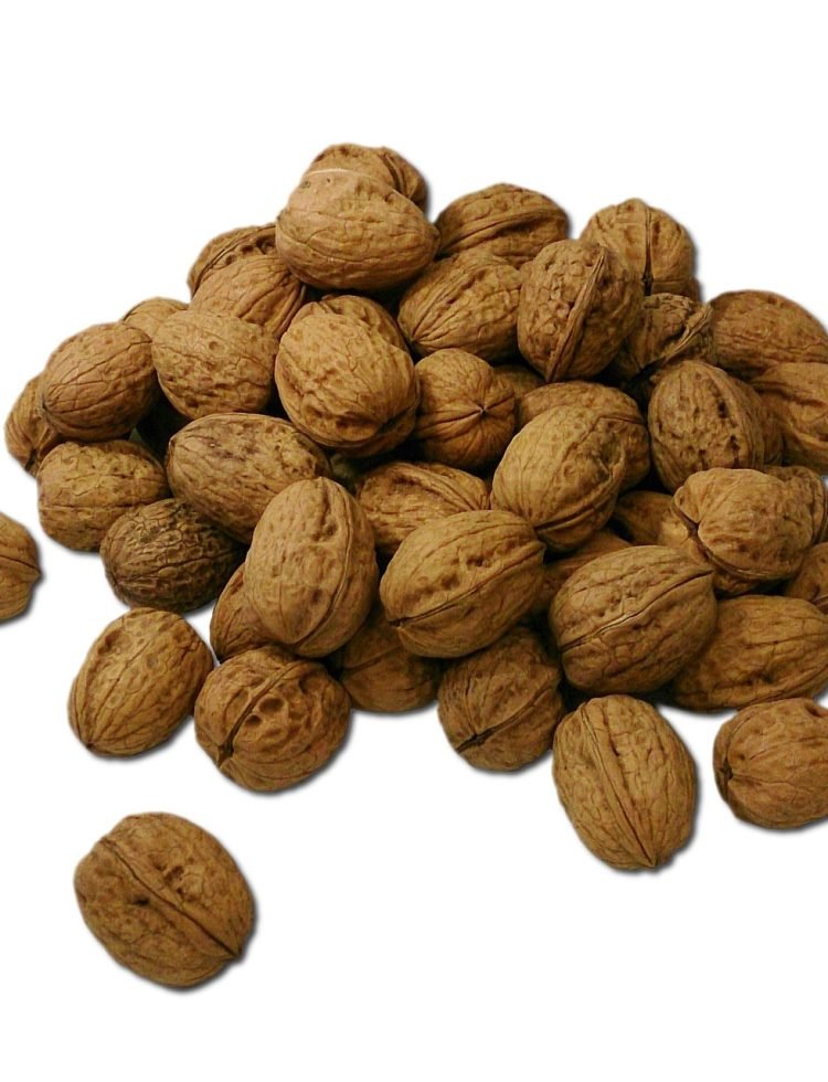 walnut-1124332_1280